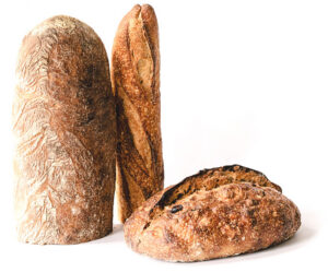 Baker Plus