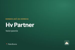 Hv Partner