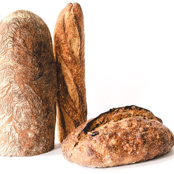 Baker Plus